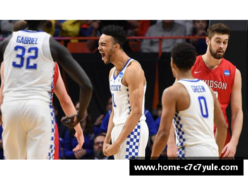 NBA：波斯野猫的崛起与全球迷恋