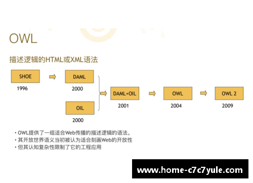 球员全场表现：细致解析与深入分析
