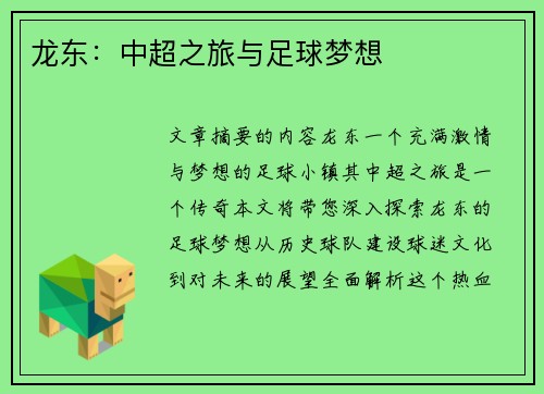 龙东：中超之旅与足球梦想