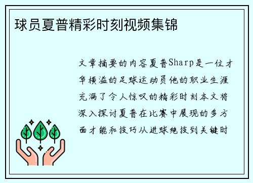球员夏普精彩时刻视频集锦